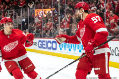 Buffalo-Sabres-at-Detroit-Red-Wings-November-30-2022-17