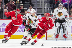 Detroit-Red-Wings-vs-Chicago-Blackhawks-November-30-2023-In-Play-magazine-17