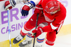 Detroit Red Wings Vs New York Rangers