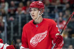 Toronto-Maple-Leafs-at-Detroit-Red-Wings-October-7-2022-31