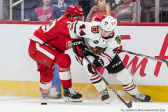 Detroit-Red-Wings-vs-Chicago-Blackhawks-October-1-2023-25