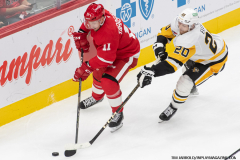 Detroit-Red-Wings-vs-Pittsburgh-Penguins-October-10-2024-In-Play-magazine-22