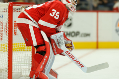 Detroit-Red-Wings-vs-Nashville-Predators-October-13-2024-In-Play-magazine-7