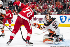 Anaheim-Ducks-at-Detroit-Red-Wings-October-23-2022-15