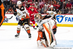 Anaheim-Ducks-at-Detroit-Red-Wings-October-23-2022-17