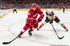 Anaheim-Ducks-at-Detroit-Red-Wings-October-23-2022-18
