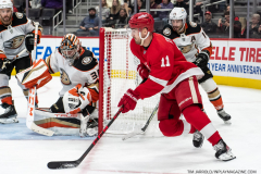 Anaheim-Ducks-at-Detroit-Red-Wings-October-23-2022-19