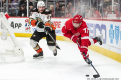 Anaheim-Ducks-at-Detroit-Red-Wings-October-23-2022-22