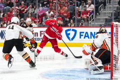 Anaheim-Ducks-at-Detroit-Red-Wings-October-23-2022-27