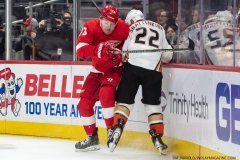 Anaheim-Ducks-at-Detroit-Red-Wings-October-23-2022-30