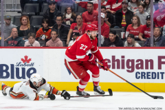 Anaheim-Ducks-at-Detroit-Red-Wings-October-23-2022-33