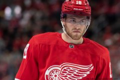 Anaheim-Ducks-at-Detroit-Red-Wings-October-23-2022-41