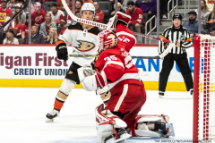 Anaheim-Ducks-at-Detroit-Red-Wings-October-23-2022-48