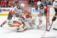 Anaheim-Ducks-at-Detroit-Red-Wings-October-23-2022-55