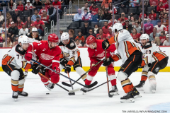 Anaheim-Ducks-at-Detroit-Red-Wings-October-23-2022-7