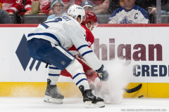 Detroit-Red-Wings-vs-Toronto-Maple-Leafs-October-4-2025-In-Play-magazine-11