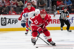 Detroit-Red-Wings-vs-Toronto-Maple-Leafs-October-4-2025-In-Play-magazine-24
