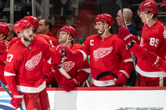 Detroit-Red-Wings-vs-Pittsburgh-Penguins-September-26-2023-In-Play-magazine-10