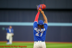 Toronto Blue Jays
