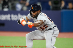 Detroit Tigers