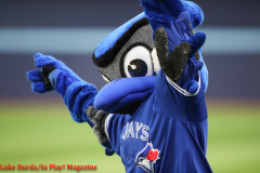 Toronto Blue Jays