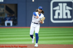 Toronto Blue Jays