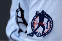 Tampa-Bay-Rays-at-Detroit-Tigers-August-6-2022-4