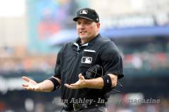 Tampa-Bay-Rays-at-Detroit-Tigers-August-6-2023-Gallery-Alan-Ashley-18