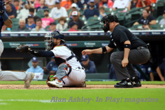 Tampa-Bay-Rays-at-Detroit-Tigers-August-6-2023-Gallery-Alan-Ashley-8