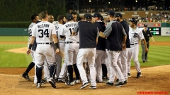 Tigers-vs-Rays-June-15-16