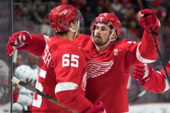 Devils-vs-Red-Wings-March-29-2019-8