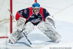 Windsor Spitfires vs London Knights Jan 18 2018 (20)