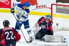 Windsor Spitfires vs Sudbury Wolves March 1 2018  (22)