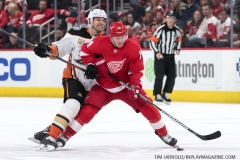 Wings vs Ducks Jan 15 2019 (10)