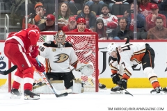 Wings vs Ducks Jan 15 2019 (13)
