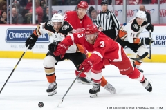 Wings vs Ducks Jan 15 2019 (14)