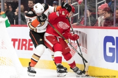Wings vs Ducks Jan 15 2019 (16)