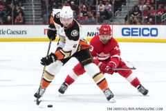 Wings vs Ducks Jan 15 2019 (17)