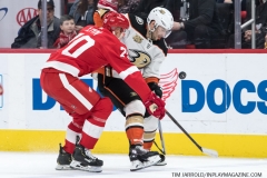Wings vs Ducks Jan 15 2019 (18)