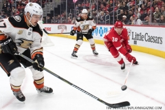 Wings vs Ducks Jan 15 2019 (23)