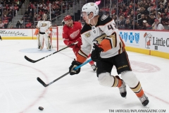 Wings vs Ducks Jan 15 2019 (24)