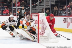 Wings vs Ducks Jan 15 2019 (25)