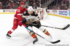 Wings vs Ducks Jan 15 2019 (26)