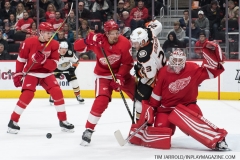 Wings vs Ducks Jan 15 2019 (32)