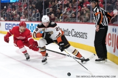 Wings vs Ducks Jan 15 2019 (34)