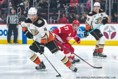 Wings vs Ducks Jan 15 2019 (4)