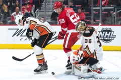 Wings vs Ducks Jan 15 2019 (5)