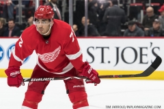 Wings vs Ducks Jan 15 2019 (6)