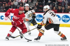 Wings vs Ducks Jan 15 2019 (8)