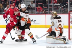 Wings vs Ducks Jan 15 2019 (9)